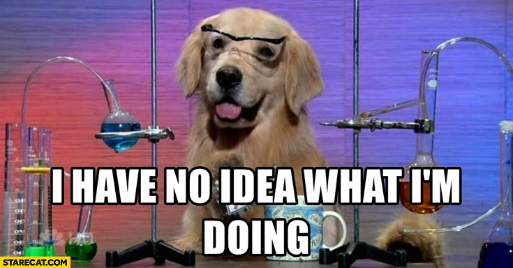 I have no idea what I am doing